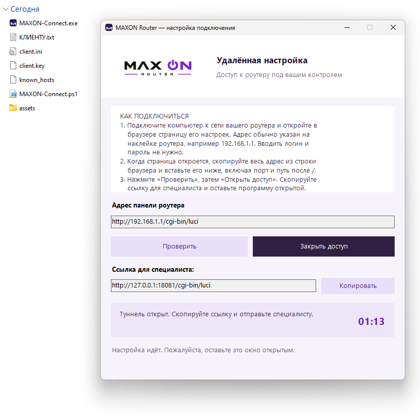 MAXON Connect: поле адреса панели роутера, кнопки Проверить, Открыть или Закрыть доступ и Копировать ссылку специалисту